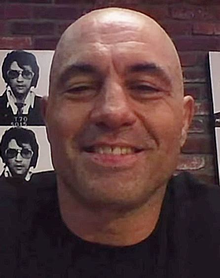 joe rogan wikipedia